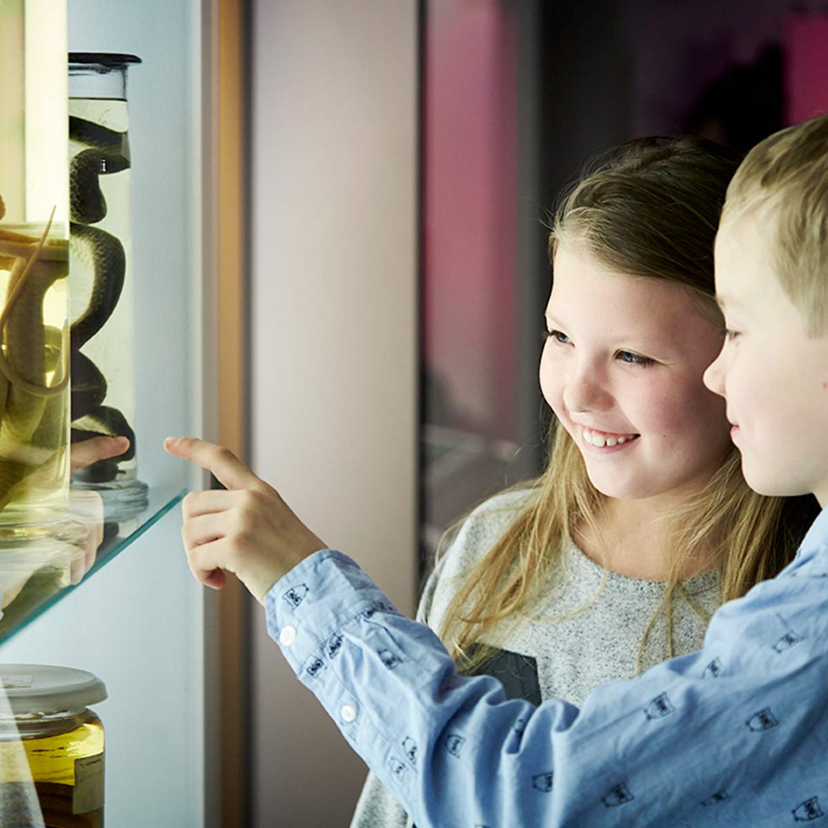 Naturhistoriska Museum i Aarhus får ny logga